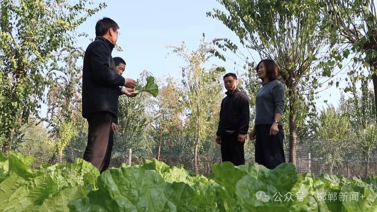 微信图片_2026-10-09_005819_322.jpg